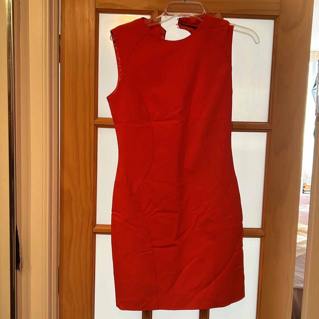 Zara Basic Backless Dress